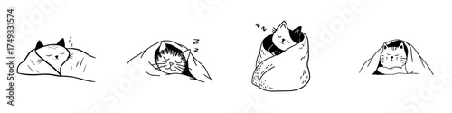 Cute sleeping cats comfortably wrapped in cozy blankets or burritos