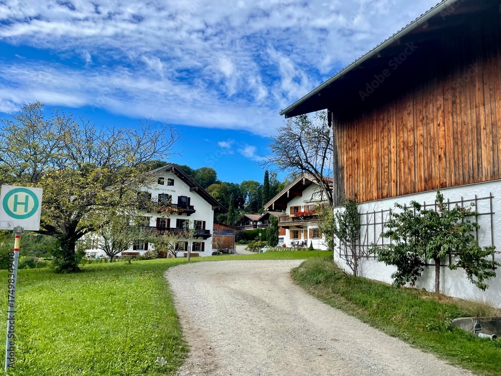 Fototapeta premium country road in the village