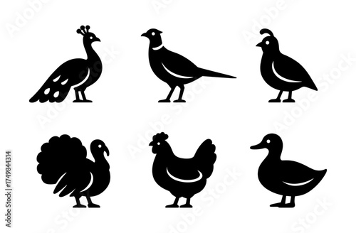 Silhouette collection of farm and wild birds with peacock and quail