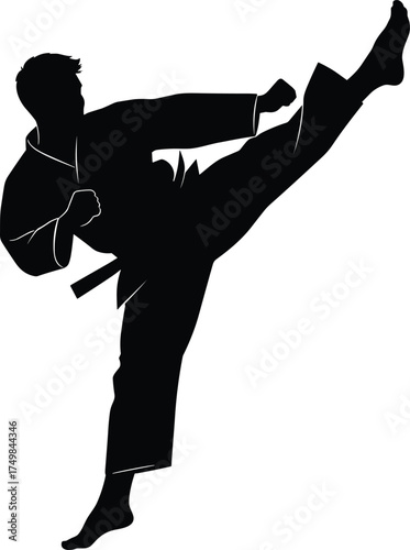 Martial arts fighter silhouette, high kick pose, karate uniform, taekwondo action, combat training, self defense, discipline, flat vector illustrat