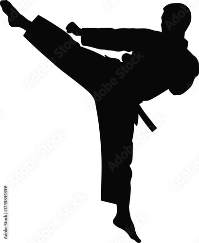 Martial arts silhouette, high kick pose, karate fighter, traditional uniform, defensive stance, dynamic motion, combat training, flat vector illustration