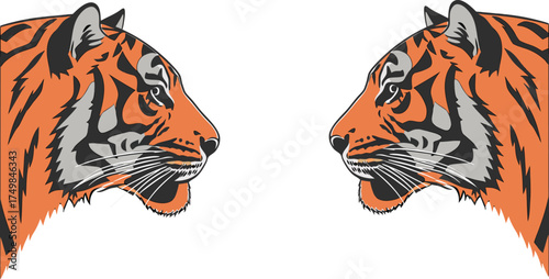 tiger head vector illustration