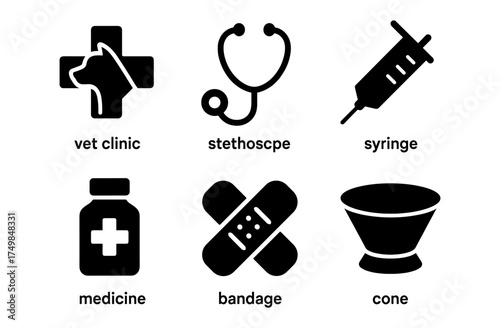 Animal health icons: stethoscope, syringe, medicine, and more in silhouette style