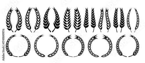 Set of wheat silhouette, Black  silhouette. Farm Wheat Ears icon vector illustration.