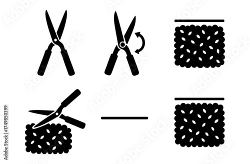 Silhouette gardening tools and hedge patterns in minimalist design