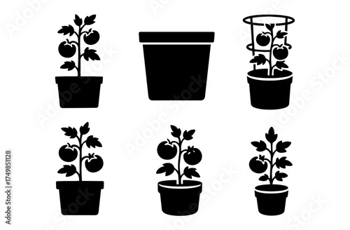 Silhouette icons of potted tomato plants and gardening essentials