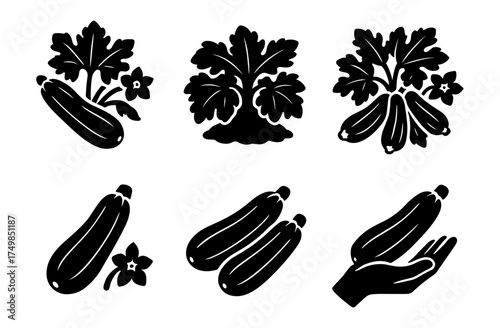 Zucchini icons set: black silhouette vegetable and hand designs