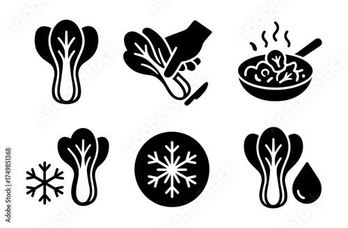Bok choy icons: freshness, cooking and freezing symbols for culinary use