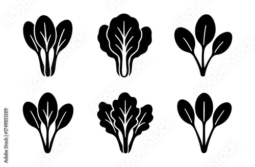 Set of black vegetable silhouettes: spinach and swiss chard variations
