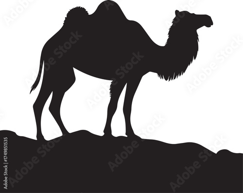 A striking black camel stands proudly on a rocky outcrop silhouette
