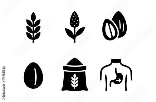 Minimalist icons of seeds and grains with human digestion concept