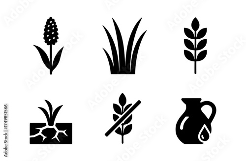 Agricultural icons set: silhouette plants and farming symbols