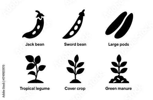 Silhouette bean icons: jack, sword, and legume varieties for agriculture and gardening