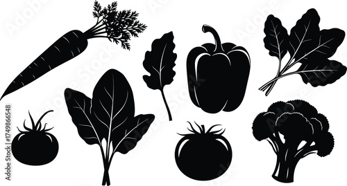 Vegetables including carrot tomatoes and leafy greens and broccoli pepper arugula