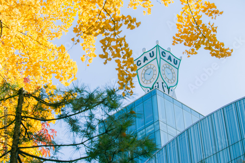 University Clock-Tower Sign with Ginkgo Leaves in Fall