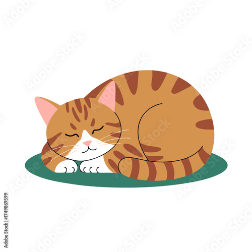 sleeping cat vector flat design white background