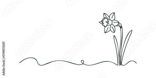 Single Line Drawing of a Narcissus Flower