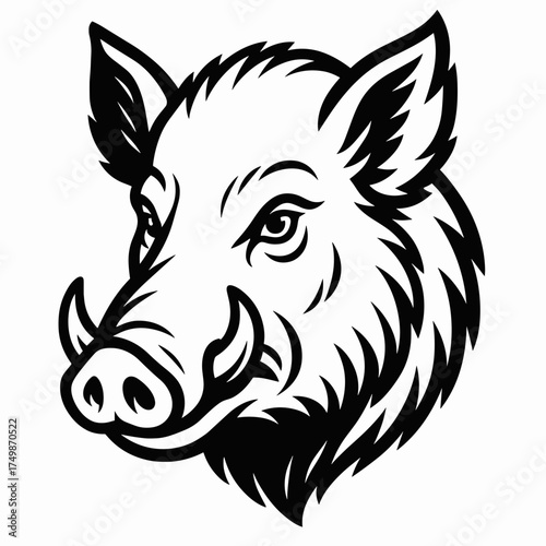 Wild boar head in detailed black and white illustration  