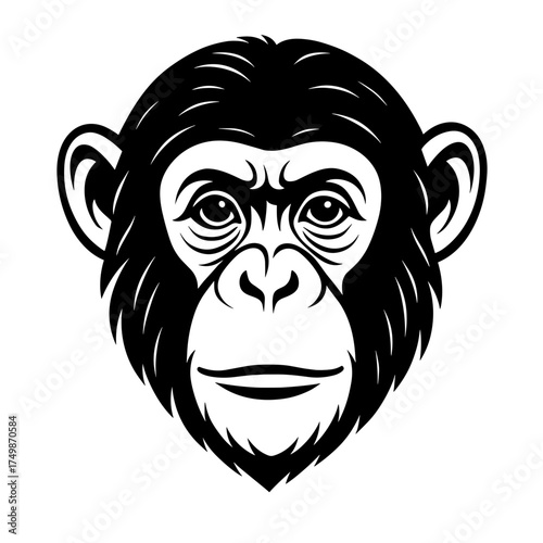Black and white illustration of a chimpanzee face  