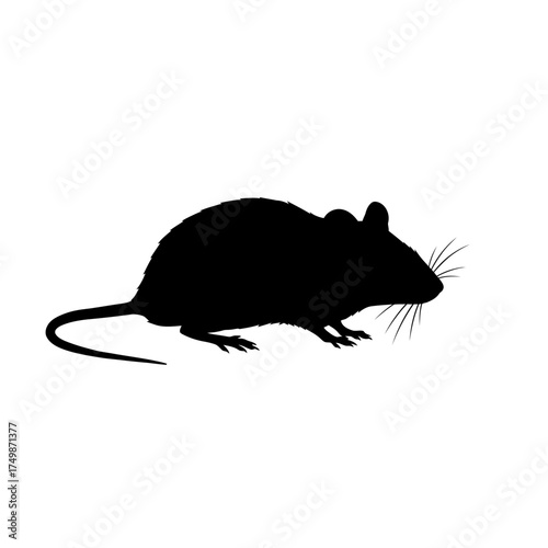 Silhouette of a small mouse standing isolated on a white surface creating a simple clean rodent graphic. vector on white background
