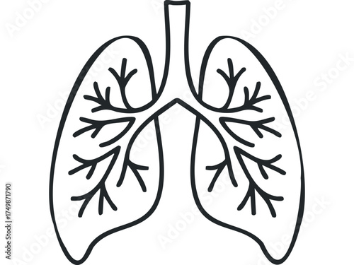 Hand drawn outline of human lungs with branching bronchi
