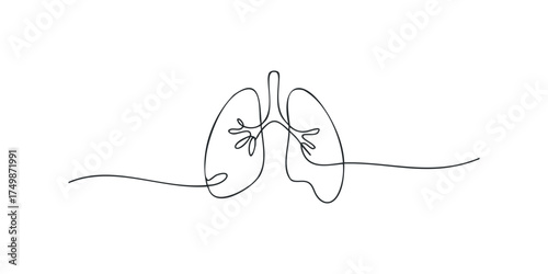 Continuous Line Drawing of Human Lungs Symbolizing Respiration and Health