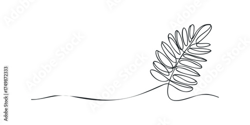 Minimalist one line drawing of a fern frond on white
