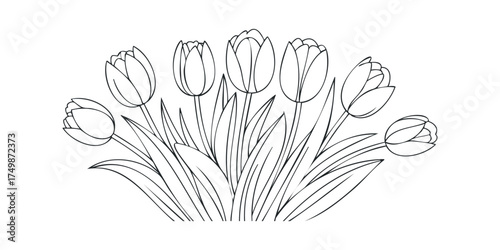 Line drawing of seven tulip flowers with stems and leaves