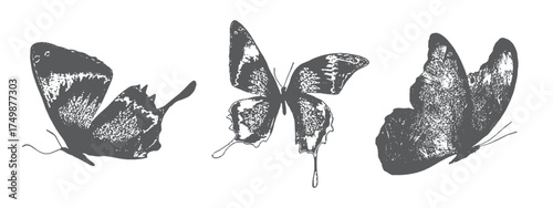 Butterfly for grunge punk Y2K collage design with halftone stipple effect