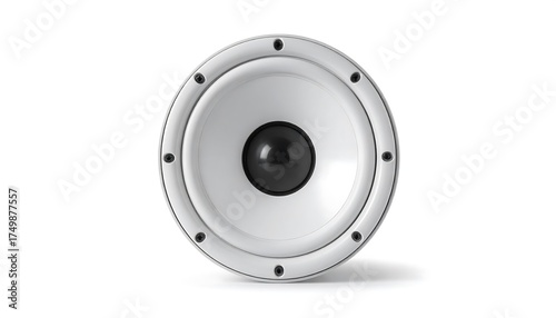 A centered white speaker diaphragm with a black central dome against a plain white background, showing details