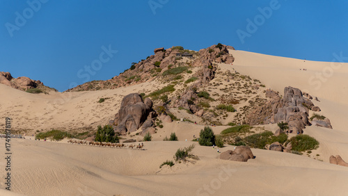 Fototapeta Naklejka Na Ścianę i Meble -  sand dunes in the desert
