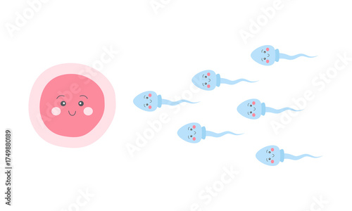 Sperm moving towards the egg cell. Fertilization of the egg. Vector illustration.