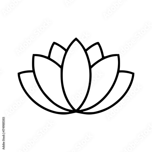 lotus flower vector illustration
