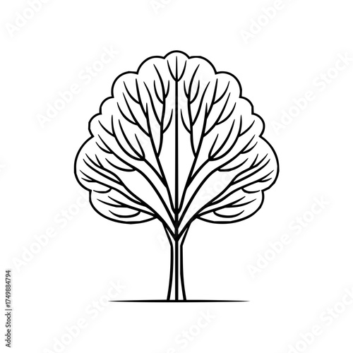 Simple line drawing of a tree with rounded leaves and a distinct trunk on a white background art