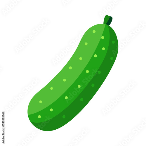 Illustration of a fresh green cucumber fruit on transparent background