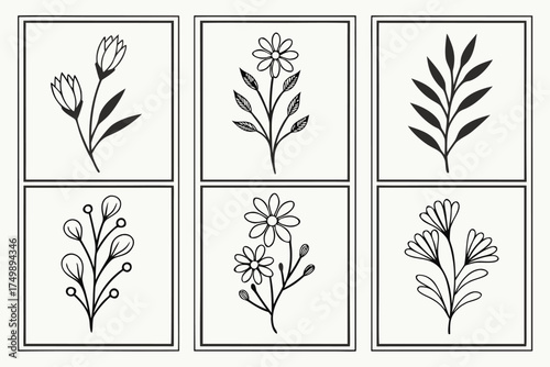 Vector art of set of six handdrawn botanical floral illustration