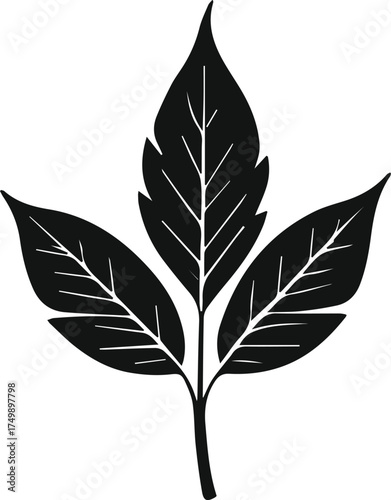 set of leaves silhouettes