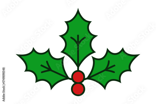  holly berry leaves branch vector for Christmas
