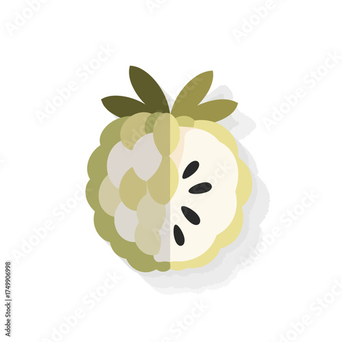 Stylized Custard Apple Fruit Cut in Half Paper Art.