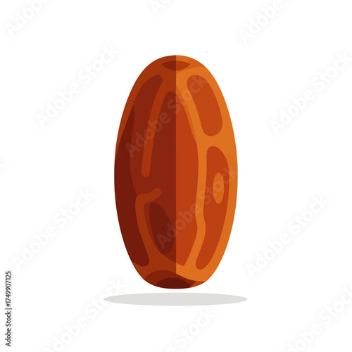 A single dried date fruit vector illustration isolated.