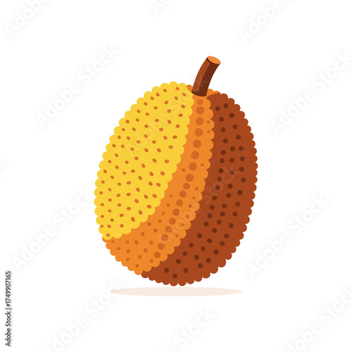 Vibrant illustration of a whole jackfruit with textured skin and stem.