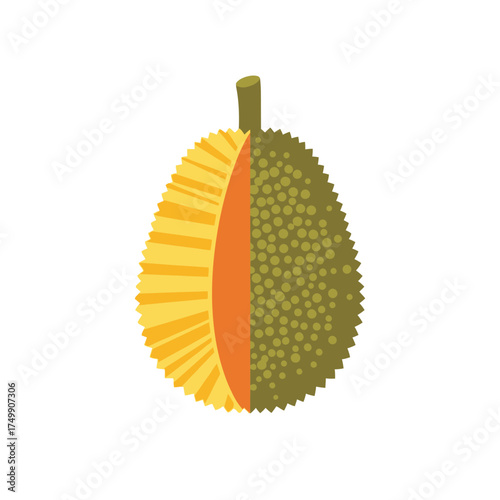 Illustration of a Durian Fruit Cut in Half Showing its Interior.