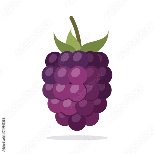 Fresh Ripe Blackberry Fruit with Green Leaves Illustration.