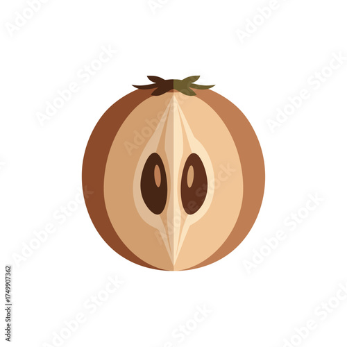 A Sliced Sapodilla Fruit Showing Its Seeds and Texture.