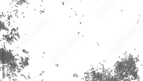 Gray speckled texture on white background abstract black