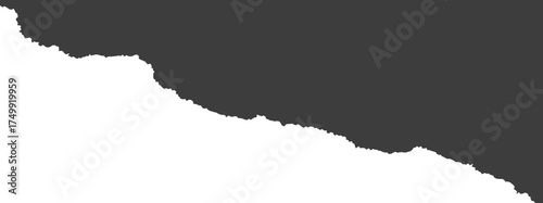 Torn piece of paper. Ripped edge of notebook page illustration. Textured shape for vintage border and headlines.