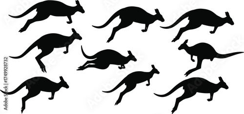 kangaroo silhouettes in various jumping and running poses isolated on white background, wildlife animal vector illustration for nature, Australia, and design elements