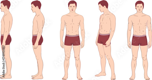 male, man, anatomy, body, figure, human, male figure, male body, male anatomy, standing, side view, front view, back view, profile, three quarter view, underwear, briefs, posing, human body, male mode