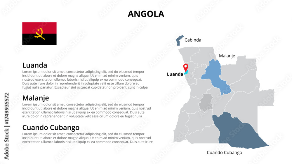 Fototapeta Business Infographic Set — Success Finance and Data Visualization Concept
