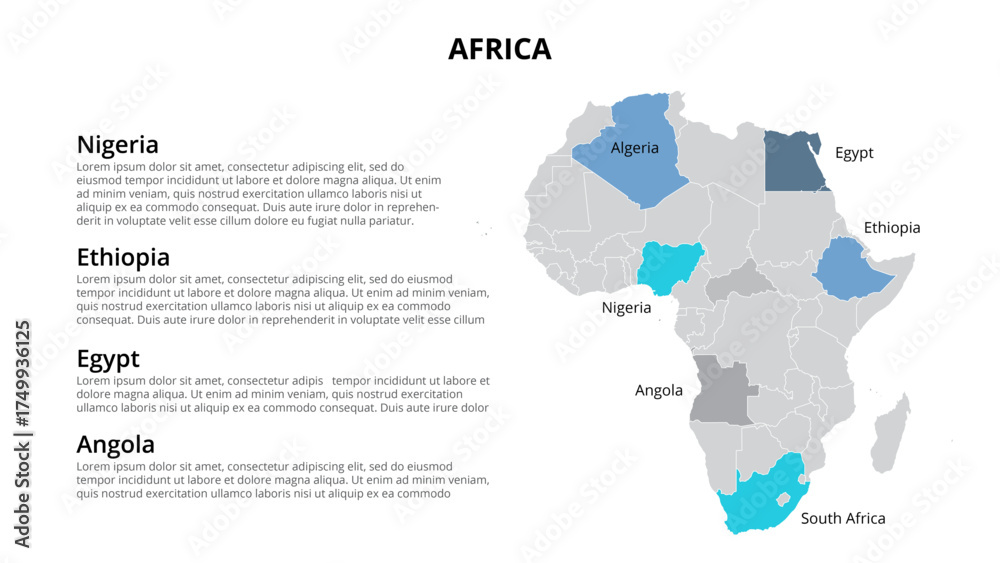 Fototapeta premium Business Infographic Set — Success Finance and Data Visualization Concept